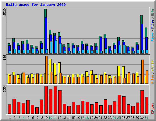 Daily usage for January 2009