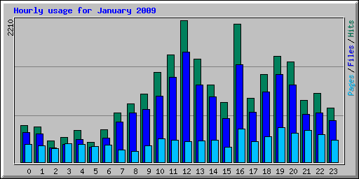 Hourly usage for January 2009